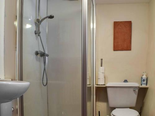a bathroom with a shower and a toilet and a sink at Swinside Cottage in Ennerdale Bridge