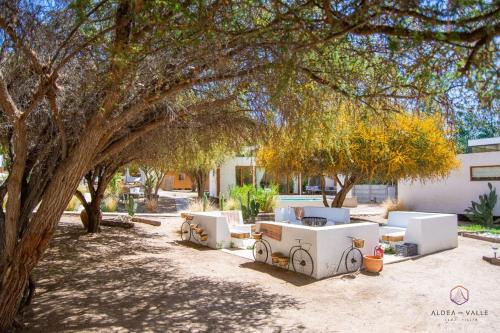 a group of white chairs sitting under a tree at Aldea del Valle - Elqui Villas, Pisco Elqui in Pisco Elqui