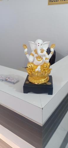 Hotel puri – Photos 4