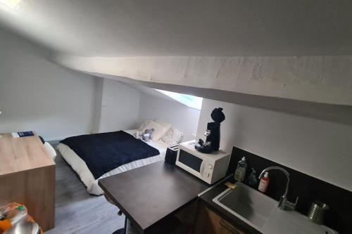 - une cuisine avec un lit et un évier dans la chambre dans l'établissement Studio proche de l'université trefilerie, à Saint-Étienne