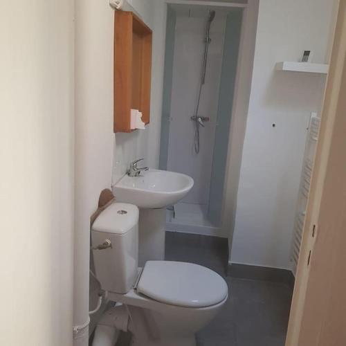une salle de bain avec toilettes et lavabo dans l'établissement Studio proche de l'université trefilerie, à Saint-Étienne