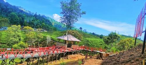 uma ponte com cadeiras vermelhas e um guarda-sol numa colina em Gunung bangku ciwidey rancabali camp em Ciwidey