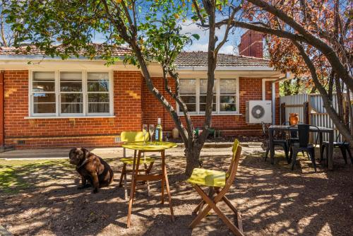 a dog sitting next to a table and chairs at Golden Square Gold Class Guest House, Bendigo in Golden Square