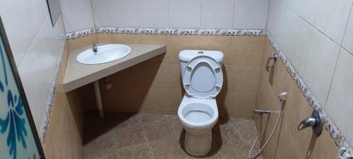 een kleine badkamer met een toilet en een wastafel bij Gold Hill Hotel in Jerantut