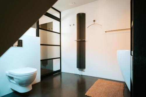 a bathroom with a toilet and a glass wall at Texels Goud Deluxe Suites in Den Burg