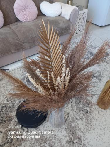 a vase with feathers on a table in a living room at CABANE COSY in Revest-du-Bion