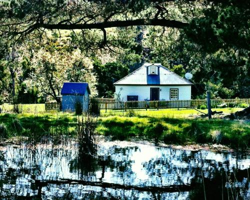 a house in the middle of a field with a pond at Oakchester Cottage on Bruny Island in Killora