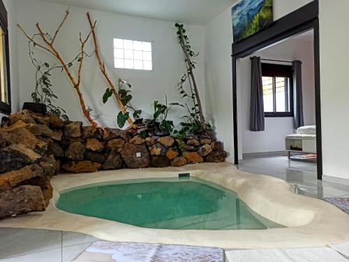 a large swimming pool in a room with a stone wall at Le Coin Zen in Ravine des Cabris
