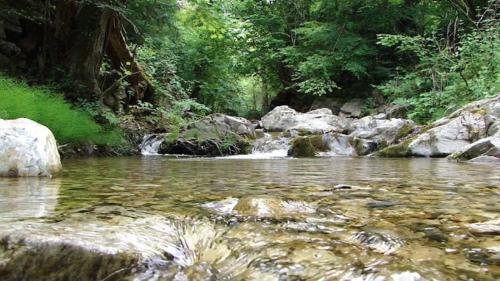 a stream of water with rocks in a forest at ''Mary's House'' Entire residence Olympiada Halkidiki Near to Sea 200m ! in Olympiada