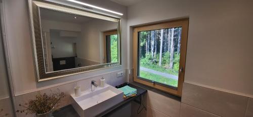 baño con lavabo y espejo grande en Am Waldrand 252, en Neukirchen am Großvenediger