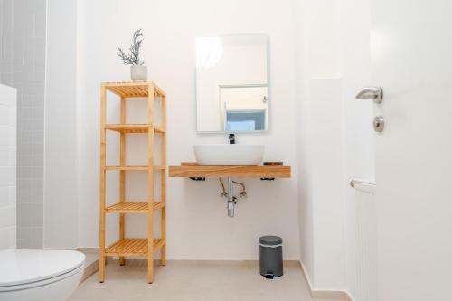 La salle de bains est pourvue d'un lavabo et d'un miroir. dans l'établissement Riverside Appartement - City Center, à Krems an der Donau