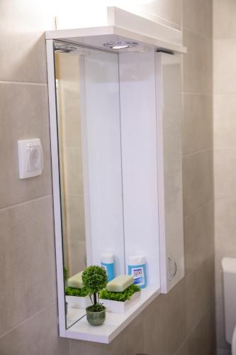 a mirror in a bathroom with plants on a shelf at Garden apartment & parking in Kraljevo