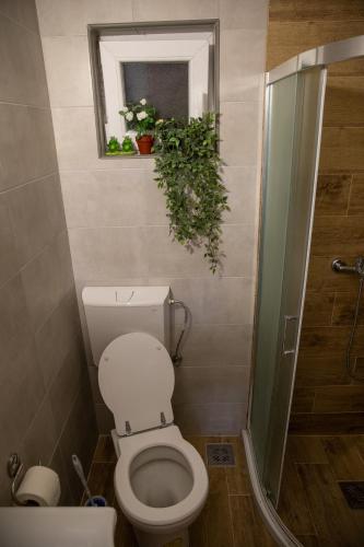 a bathroom with a toilet and a window and a plant at Garden apartment & parking in Kraljevo