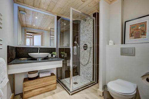 une salle de bain avec une douche, un lavabo et des toilettes dans l'établissement Residence la Blaitiere, à Chamonix-Mont-Blanc