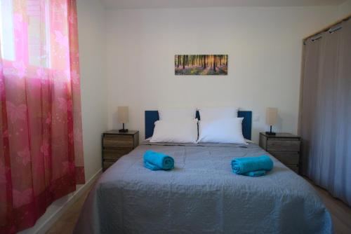 a bedroom with a bed with two blue pillows on it at Puig Roja del Roser in Prats-de-Mollo-la-Preste