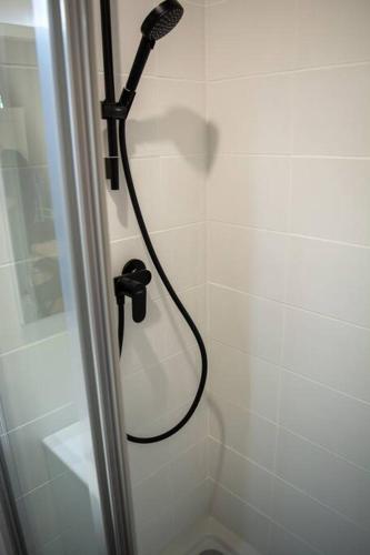 een douche met een douchekop in de badkamer bij L'Althéa I in Bron