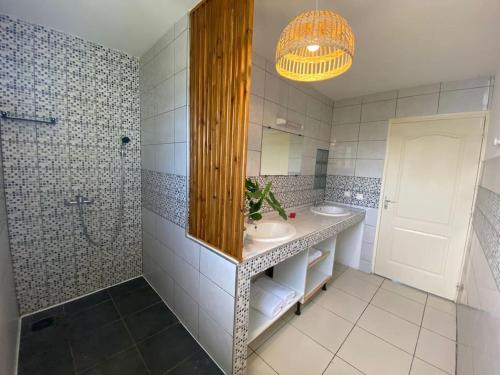 La salle de bains est pourvue d'un lavabo, d'un miroir et d'une douche. dans l'établissement Villa Albizia 974 avec piscine et spa, à Saint-Pierre