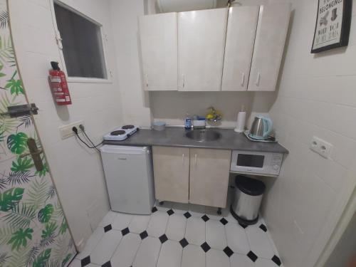 a small kitchen with a sink and a dishwasher at Apartamento Tango in Fuengirola