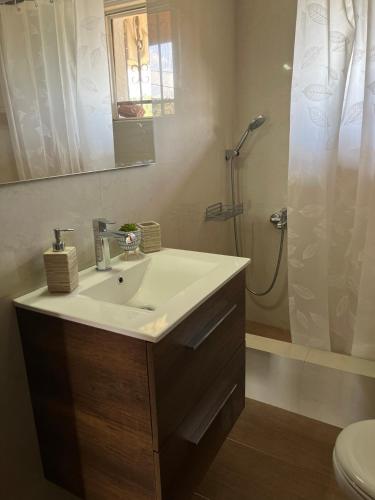 a bathroom with a sink and a shower at Xenia's Seaview House in Paralía Avlídhos
