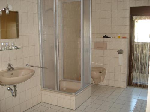 a bathroom with a shower and a sink and a toilet at Haus Steinwaldblick in Bernlohe