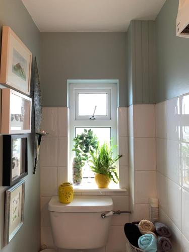 a bathroom with a toilet and a window with a plant at Tig Monbretia in Dingle