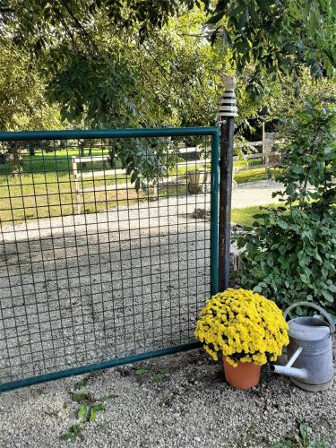 a gate with two pots of flowers next to a fence at Ferienwohnungen "Zum Lochfeld" in Wittersheim