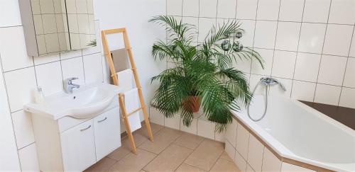 a bathroom with a sink and a potted plant at Ferienwohnungen "Zum Lochfeld" in Wittersheim