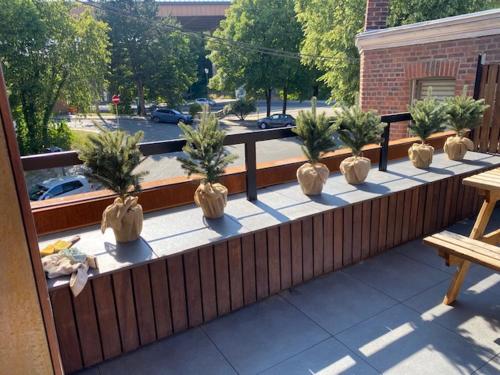 a row of plants in vases on a balcony at Les Quais de la Vesdre in Verviers