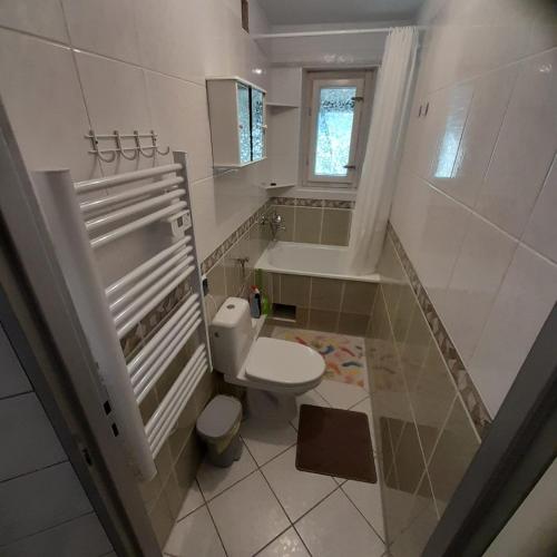 a small bathroom with a toilet and a sink at Nocuj u Rogala in Szczebrzeszyn