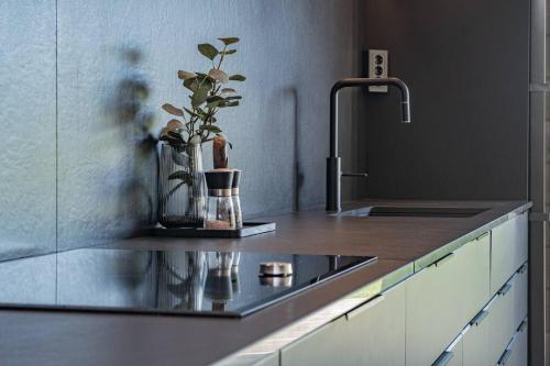a kitchen with a sink and a vase with a plant at Villa Black in Slussfors