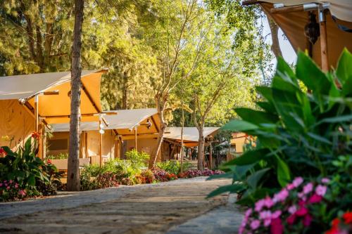 a walkway through a garden with flowers and umbrellas at Dunas Luxury Beach Resort Tarifa in Tarifa