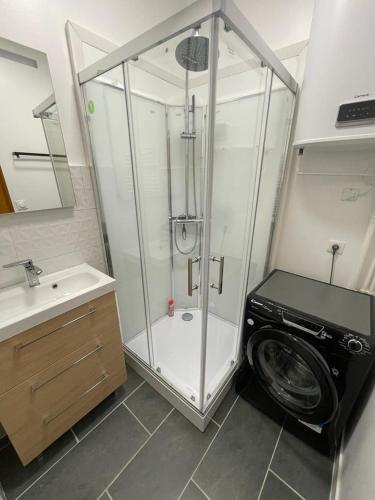 Ένα μπάνιο στο Appartement Le Petit Charcot