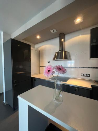 Apartamento La Marquesa