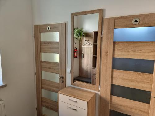 vestidor con puerta de madera y espejo en Garsoniera DUKLA 289, en Děčín