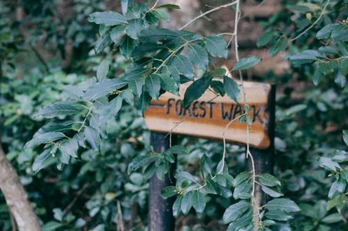a forest walk sign in a bush with leaves at Assegaaibosch Country Lodge in Kareedouw