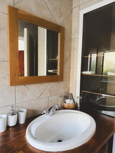 a bathroom with a white sink and a mirror at Assegaaibosch Country Lodge in Kareedouw