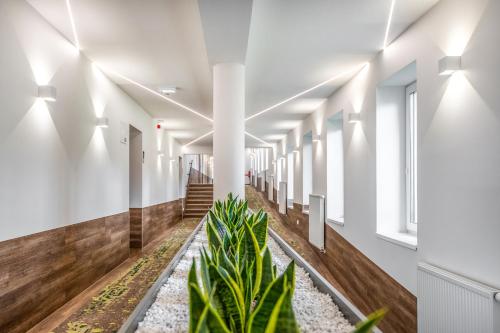 a corridor of a building with white walls and plants at Szarvaskút Hotel in Zirc