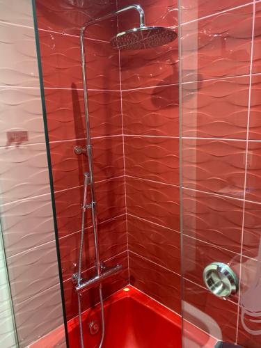 a shower with a glass door and a red wall at Ismailia in Ismailia