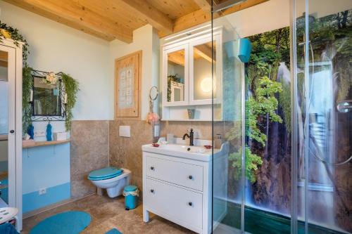a bathroom with a shower and a sink and a toilet at Haus Himmelblick mit privater Sauna in Sasbach am Kaiserstuhl