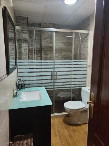 a bathroom with a shower and a sink and a toilet at EL NIDO in Montoro