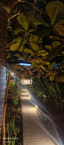 a walkway with lights in a garden at night at Mengalung Bungalow in Kuta Lombok