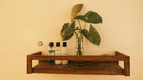 a shelf with a plant and three bottles on it at Coco Moon in Morjim