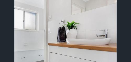 a bathroom with a sink and a plant on a counter at Boho Beach House in Vincentia