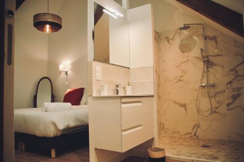 baño pequeño con ducha y cama en Le Moulin du Château de Horgues en Horgues