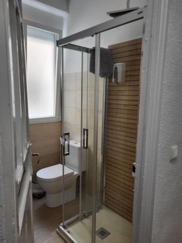 a bathroom with a toilet and a glass shower stall at EL BALCÓN DE LA PLAZA. in Arévalo