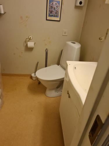 a bathroom with a toilet and a sink at Nära Piteå havsbad in Piteå