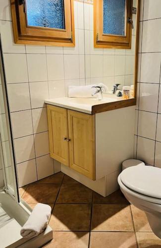 a bathroom with a sink and a toilet at Chalet Les Lanchettes in Morzine