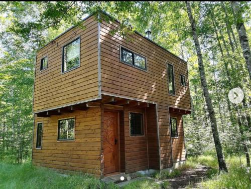 a small wooden house in the middle of a forest at Eco lodge mediterraneas in Caburgua