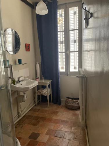 een badkamer met een wastafel en een douche bij Cosy Flat vue château Loire à velo in Saumur