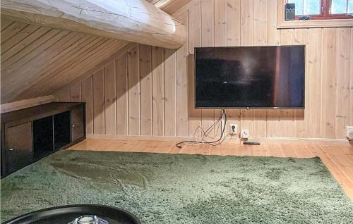 a living room with a flat screen tv on a wall at Awesome Home In Rauland With Kitchen in Rauland